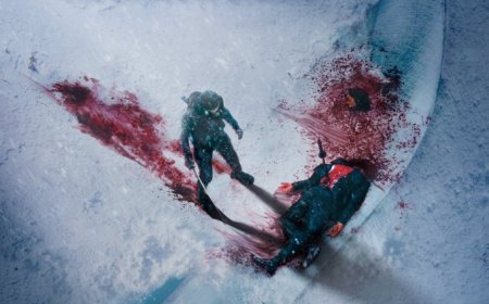 Download The Shadow Strays (2024)