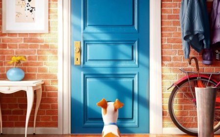Download The Secret Life of Pets (2016)