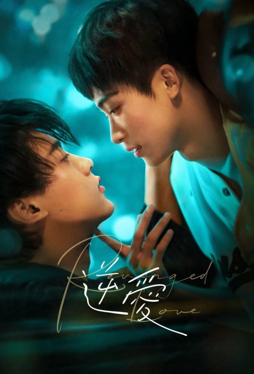Download Revenged Love S01