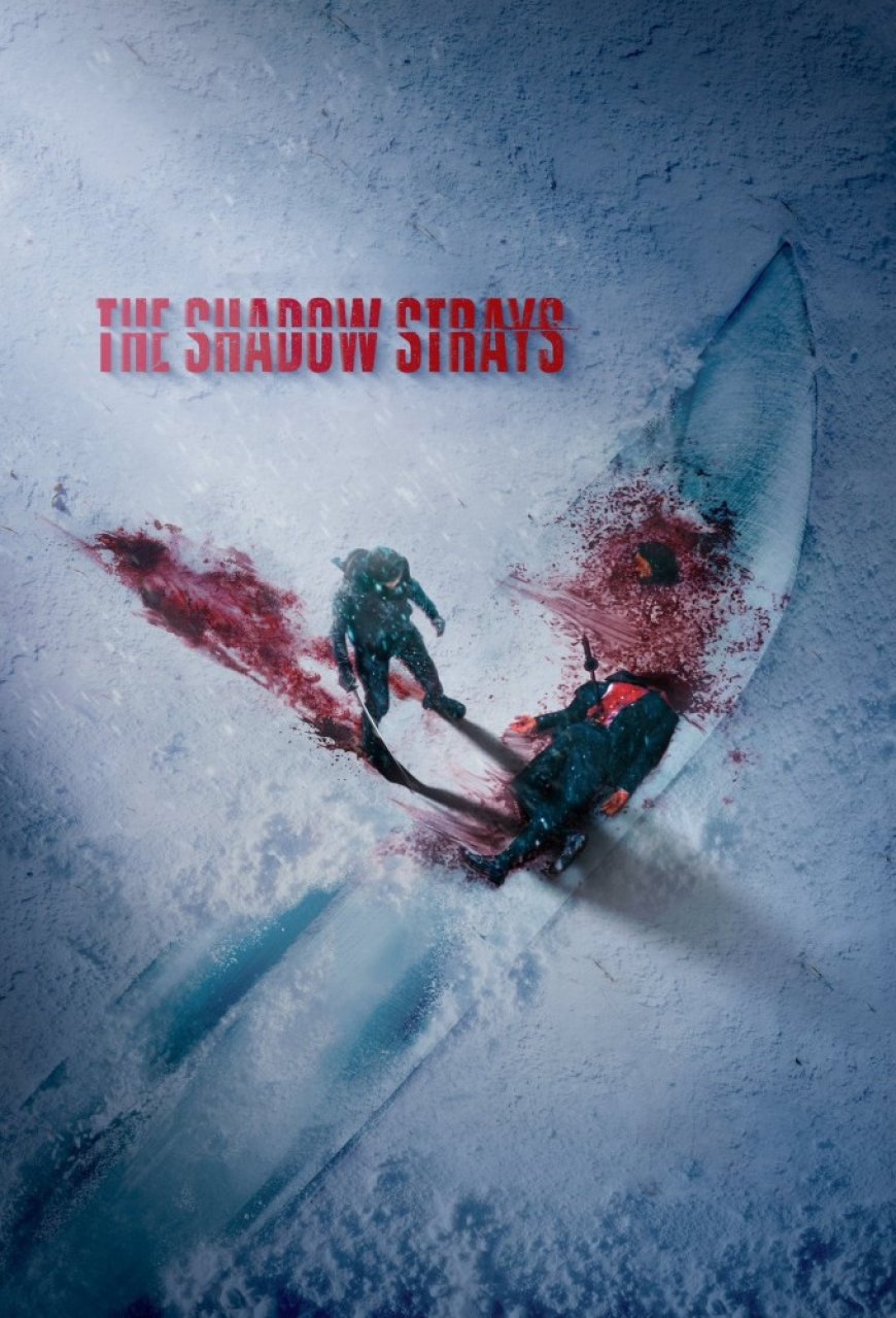 Download The Shadow Strays (2024)