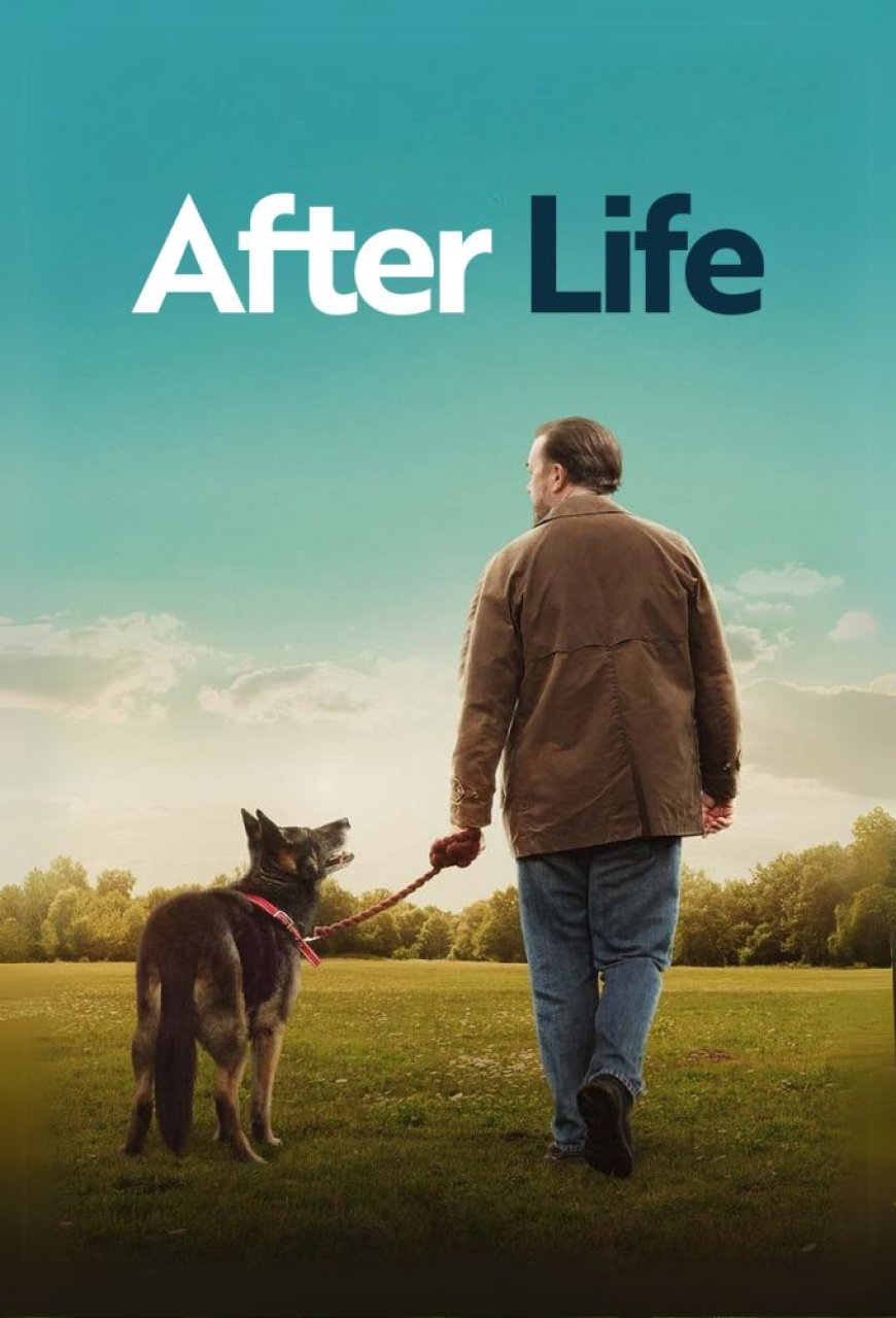 Download After Life S01 – S03