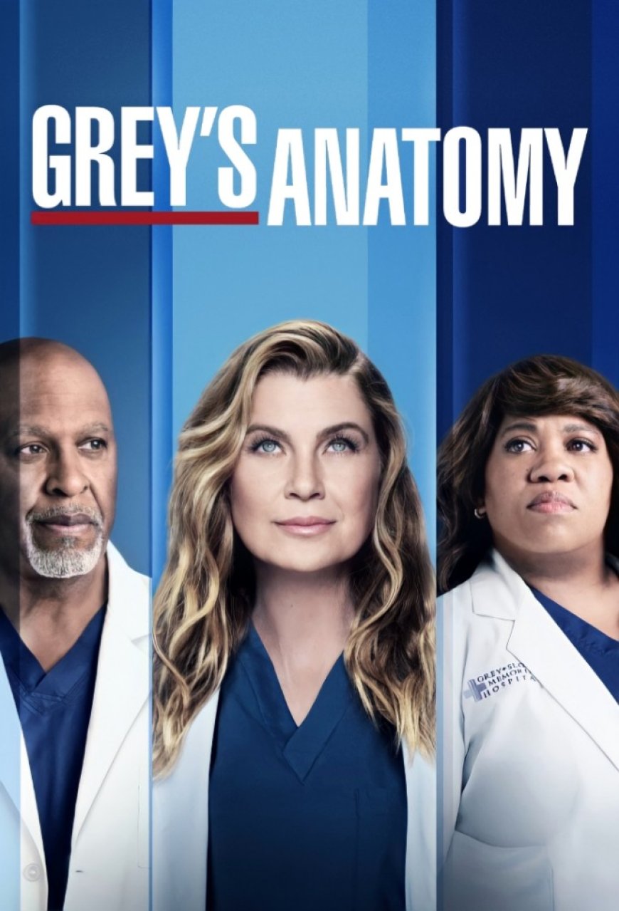 Download Grey’s Anatomy S22 [Episode 3]