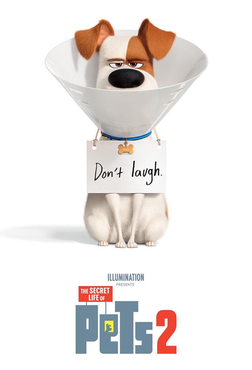 Download The Secret Life of Pets 2 (2019)