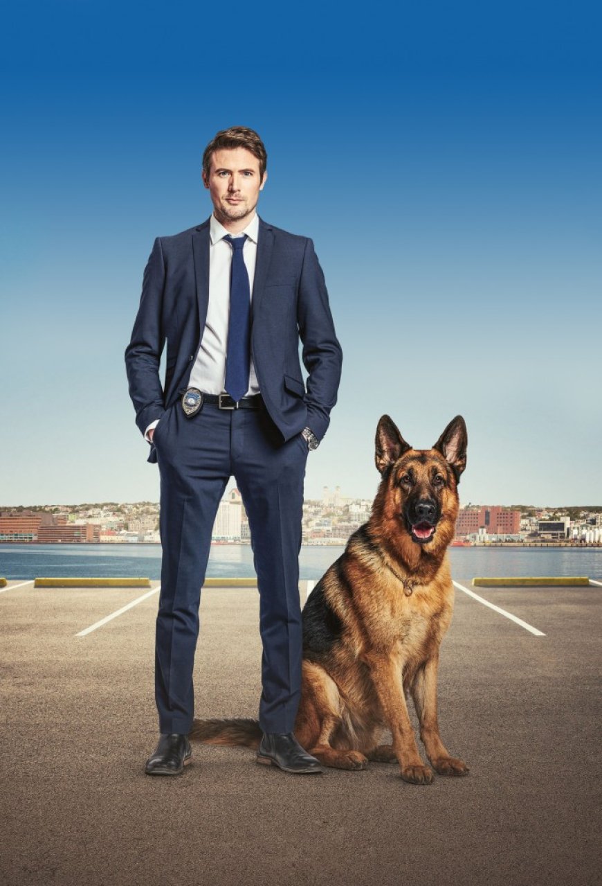 Download Hudson & Rex S01 – S03