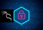 Kali Linux and Windows Hacking and Security: IT SEC – FreeCourseSite