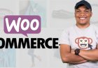 WordPress E-commerce: Build 2 Websites & Dropshipping Store