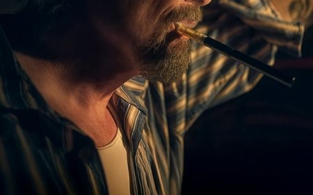 Download The Lowdown S01