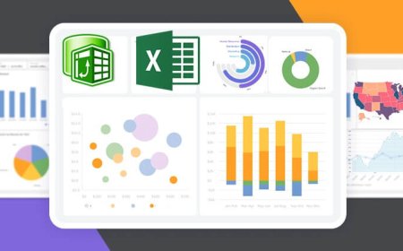 Advanced Microsoft Interactive and Dynamic Excel Dashboard