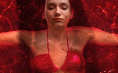 Breed of Greed (2025)