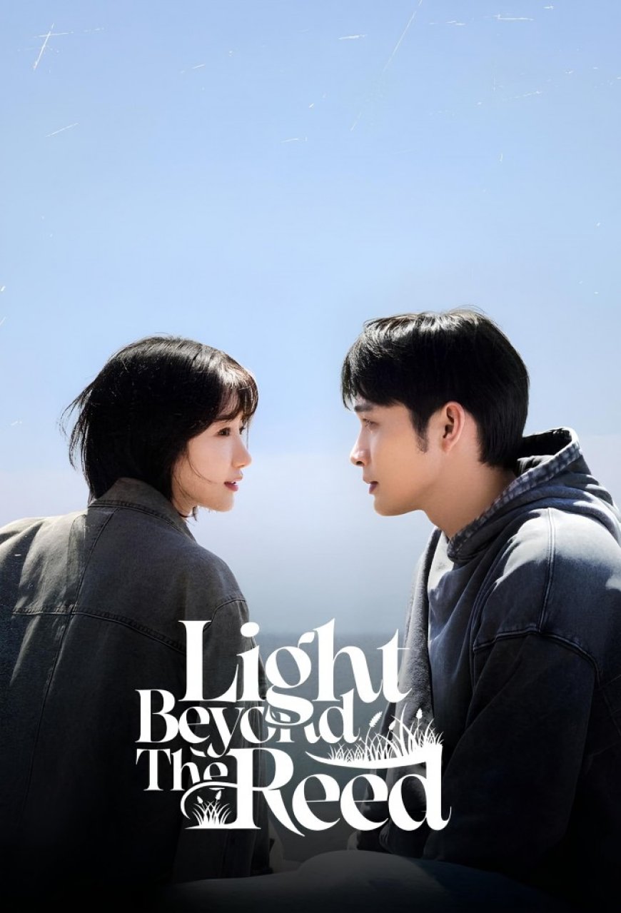 Download Light Beyond the Reed S01