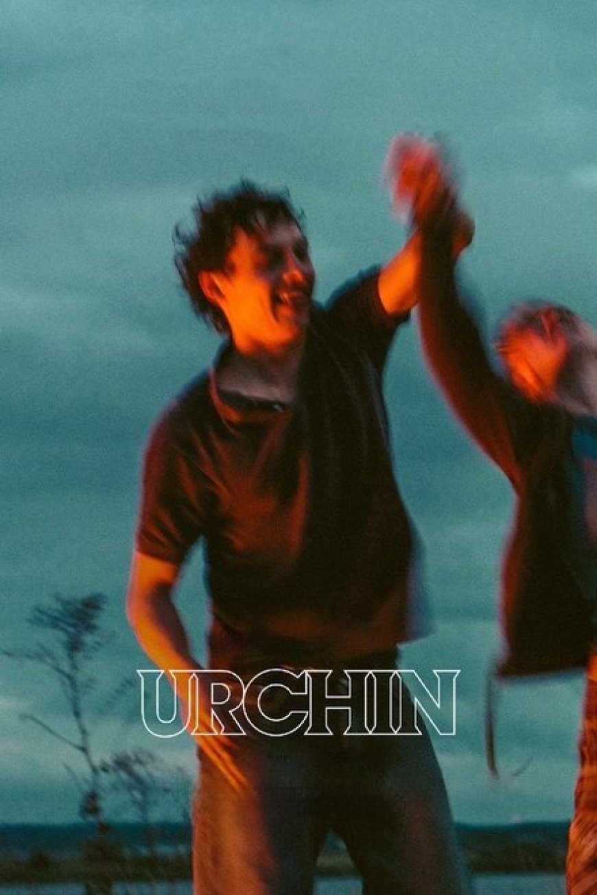 Download Urchin (2025)