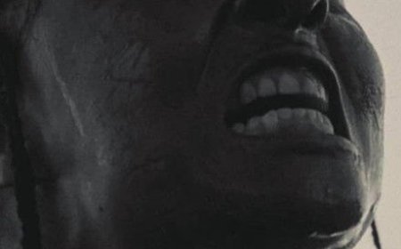 3 Cold Dishes (2025)