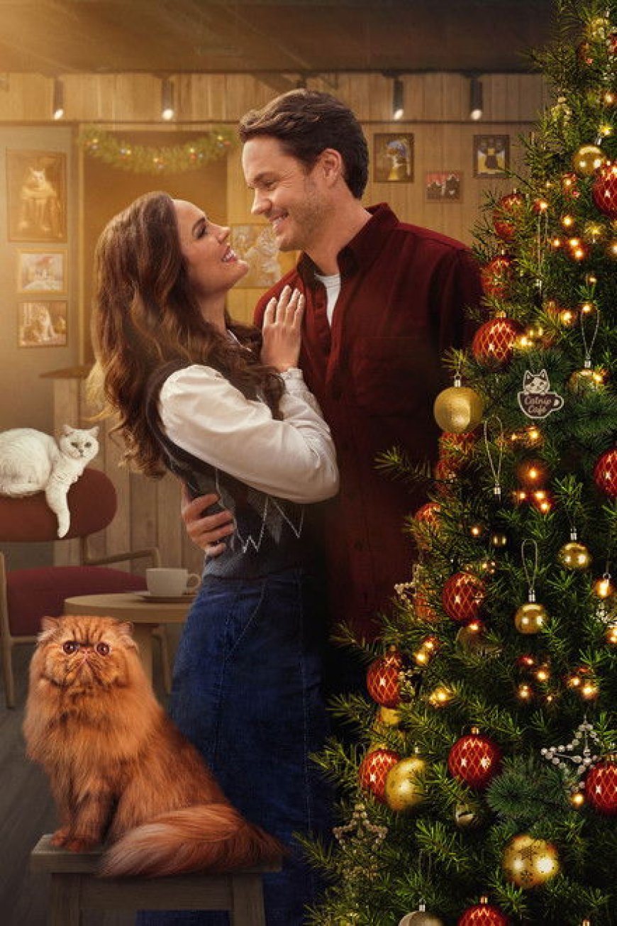 Christmas at the Catnip Cafe (2025)