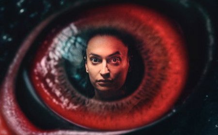 The Black Swan (2024) S01