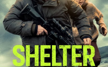 Shelter (2026)